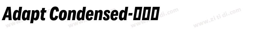 Adapt Condensed字体转换